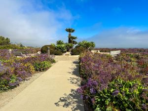 Pismo Beach - Dinosaur Caves Park
